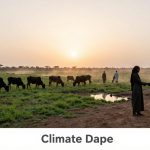 Two people shake hands in a grassy field with cattle grazing nearby. The sun is setting, casting a warm glow. "Climate Dape" text below.