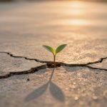 A small green plant sprouting from a cracked concrete surface in warm sunlight, casting a shadow.