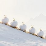 Seven snowballs with small green sprouts rest on stacks of gold coins on a snow-covered slope against a pale sky.